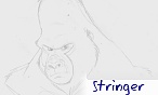 stringer