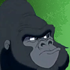 Moyo