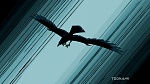 Image Teen Titans Saison 2