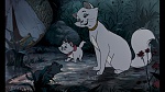 Image Les Aristochats