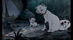 Les Aristochats picture