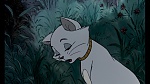Image Les Aristochats