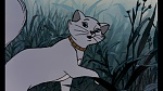 Image Les Aristochats