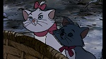 Image Les Aristochats
