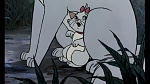 Image Les Aristochats