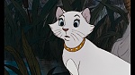 Image Les Aristochats