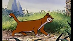Image Les Aristochats