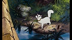 Les Aristochats picture