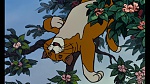 Image Les Aristochats