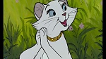 Image Les Aristochats