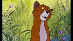 Image Les Aristochats