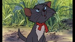 Image Les Aristochats