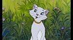 Image Les Aristochats