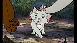 Image Les Aristochats