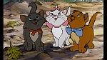 Image Les Aristochats