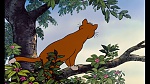 Image Les Aristochats