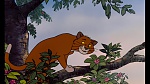 Image Les Aristochats