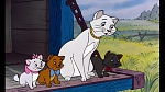 Image Les Aristochats
