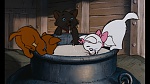 Image Les Aristochats