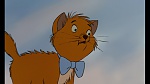 Image Les Aristochats