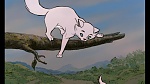 Image Les Aristochats