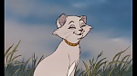 Image Les Aristochats