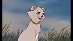 Image Les Aristochats