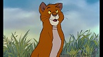 Image Les Aristochats