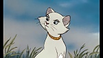 Image Les Aristochats