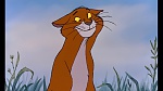 Image Les Aristochats