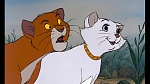 Image Les Aristochats