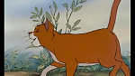 Image Les Aristochats