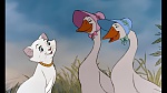 Image Les Aristochats