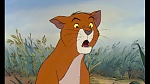 Image Les Aristochats