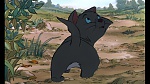 Image Les Aristochats