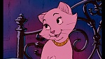 Image Les Aristochats