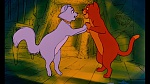 Image Les Aristochats
