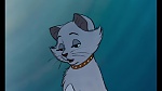 Image Les Aristochats