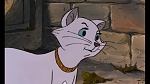 Image Les Aristochats