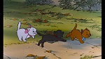 The AristoCats picture