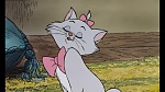 The AristoCats picture