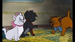 The AristoCats picture