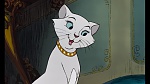 The AristoCats picture