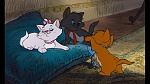 The AristoCats picture