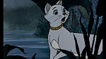 The AristoCats picture
