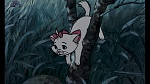 The AristoCats picture