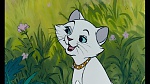 The AristoCats picture