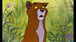 The AristoCats picture