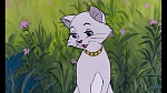 The AristoCats picture