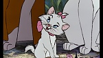 The AristoCats picture